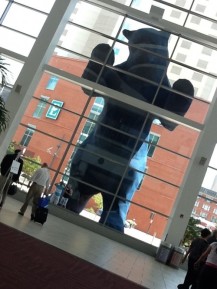 Conference at Denver in July, 2012. The picture shows the Big Blue Bear. I wrote the first post on this blog about the Big Blue Bear.